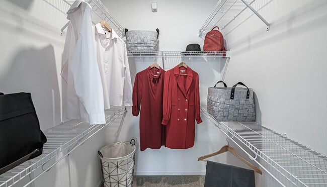 Photo - Altis Grand Lake Willis