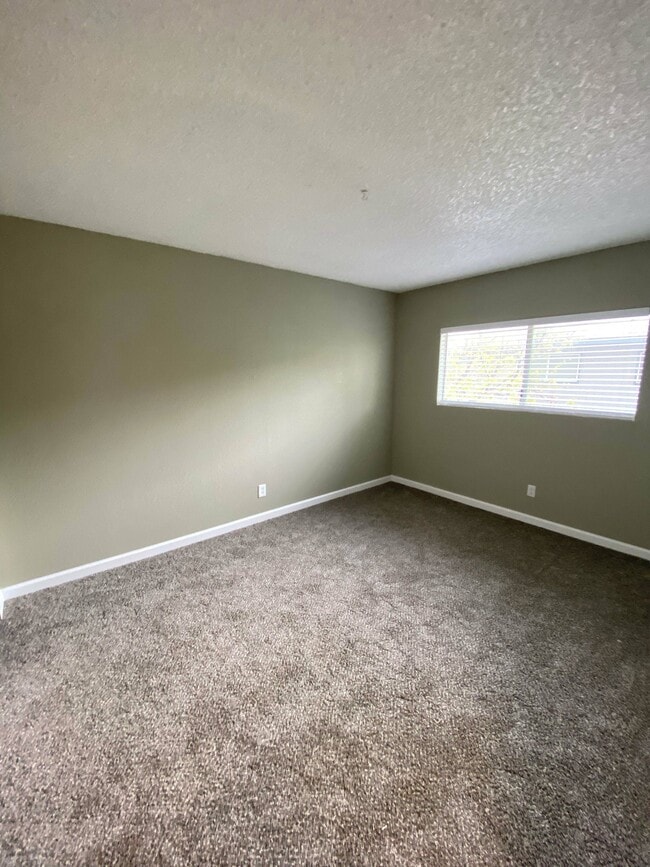 Photo - The Creek at South Carson