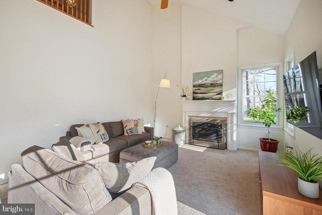 Photo - 26 Spiked Rush Ct