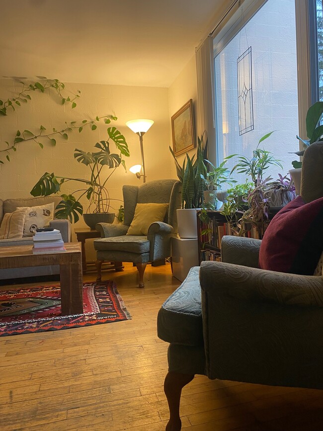 Photo - 212 Giles St Townhouses-Available August 2026