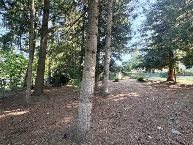 Photo - Fully updated 4 bedroom Federal Way home