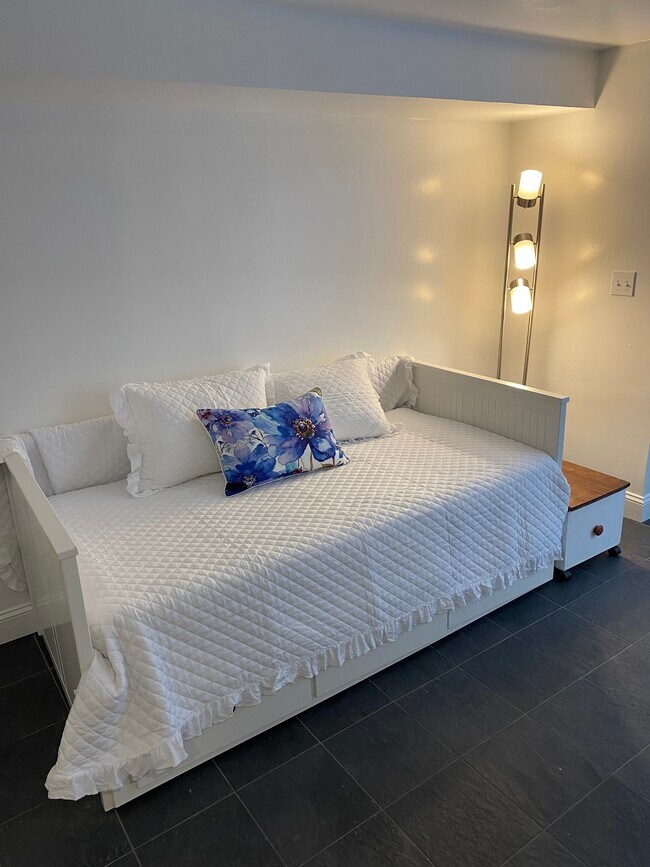 Main room has day bed which opens to become a queen bed ) - 3 Waban St Unit 6