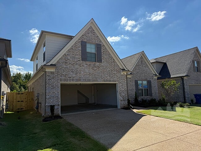 Photo - 100 Downy Birch Cv