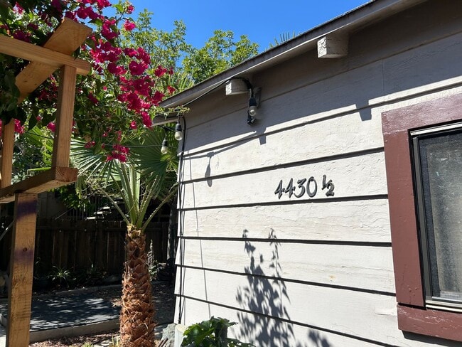 Available Now! Small Studio House - Available Now! Small Studio House