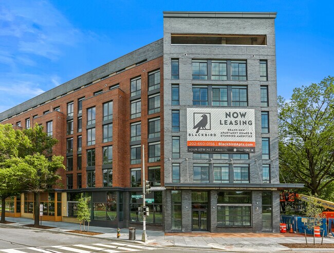 Blackbird Apartments For Rent in Washington, DC