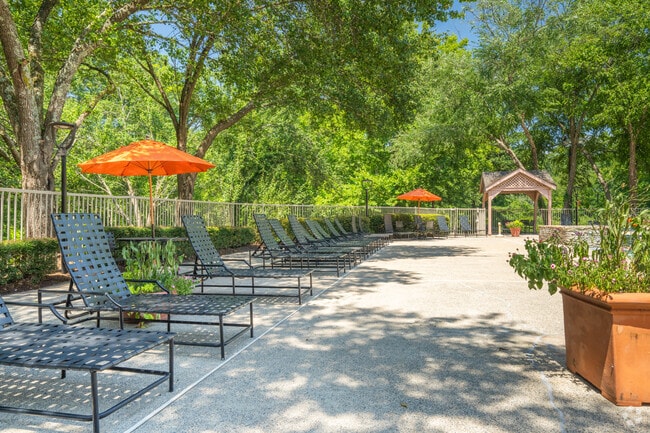 Pool Deck