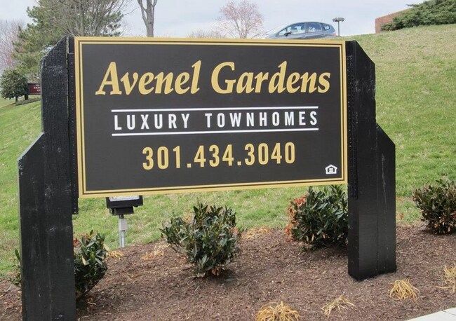 Avenel Gardens - Avenel Gardens Apartments