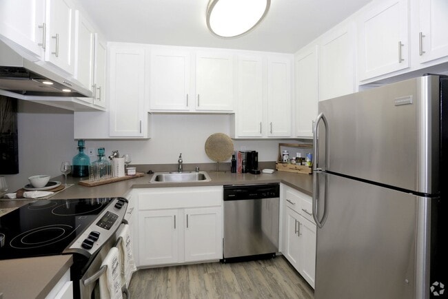 Photo - Terra Oceanside