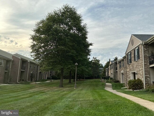 Photo - 61 Ramsgate Ct