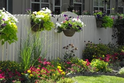 Garden - Ivy Court Apartments
