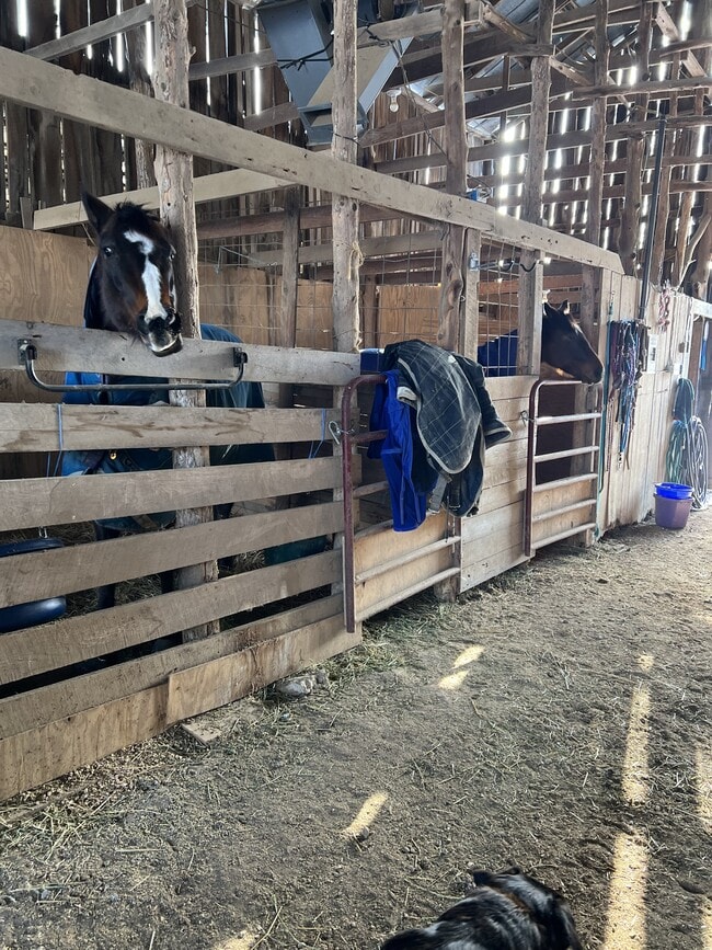 Photo - 1557 Clifton Rd