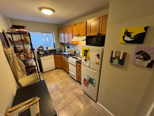 Photo - 50 Gardner St