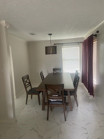 Photo - 3538 Palm Grove Dr