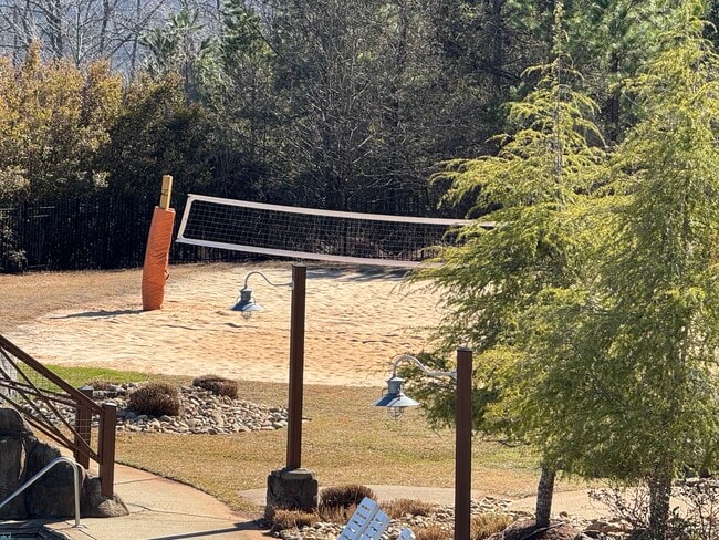 Clubhouse Volleyball - 1613 Muscovy Way Unit 1613 Muscovy