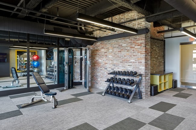 Free Weights