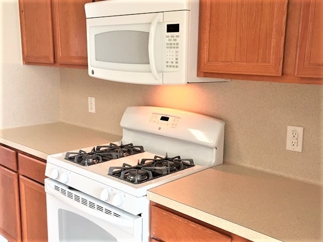 Photo - 16842 Blackberry Lily Ln