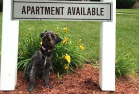 Photo - Hawthorne Garden