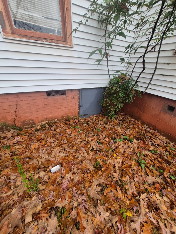 Photo - 5107 W 22nd St