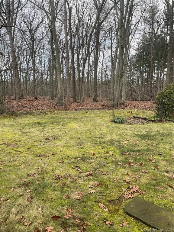 806 Briarwood Ct Condo Unit 806 Condo for Rent in Rocky Hill, CT