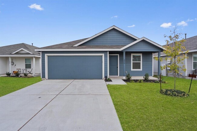 Photo - 216 Little Sparklers Lp