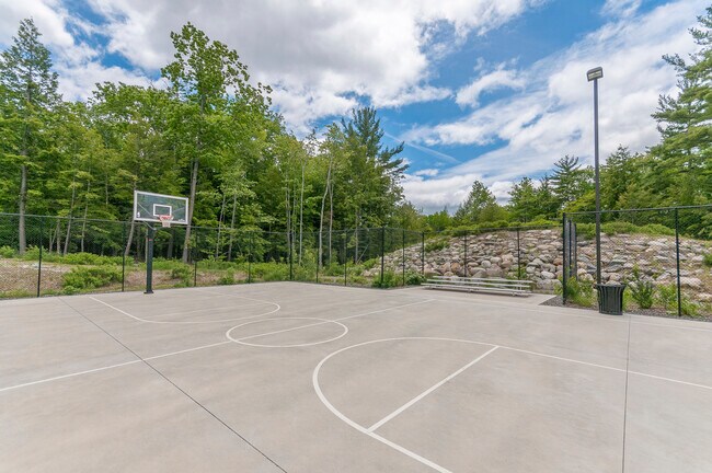 Basketball Court