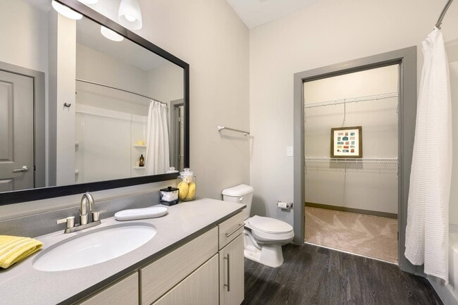 Bathroom and Closet