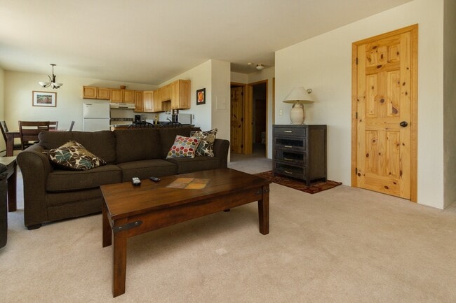 Photo - Buffalo Ridge Condos-All Utilities, Clubhouse, Wifi, Bus Route & Views