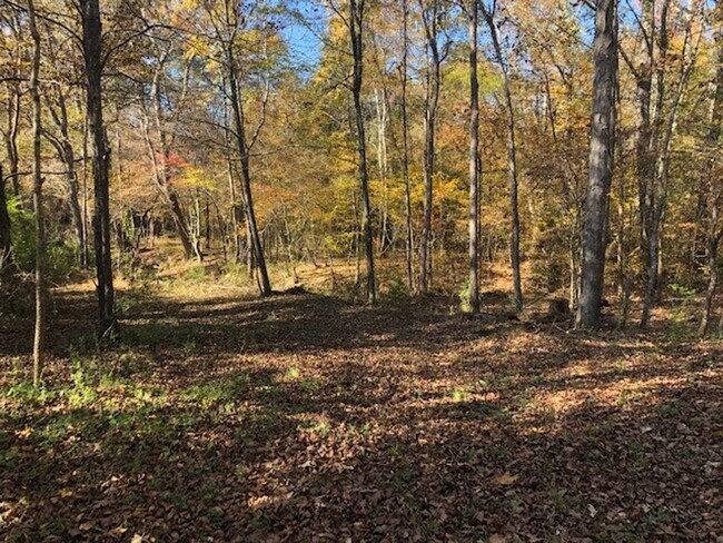 Photo - 4 Bedroom 3 Bath Double Wide Mobile Home