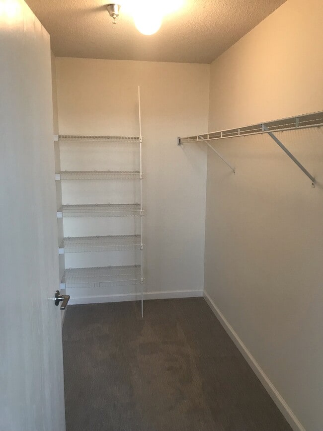 Walk'in Master Bedroom Closet