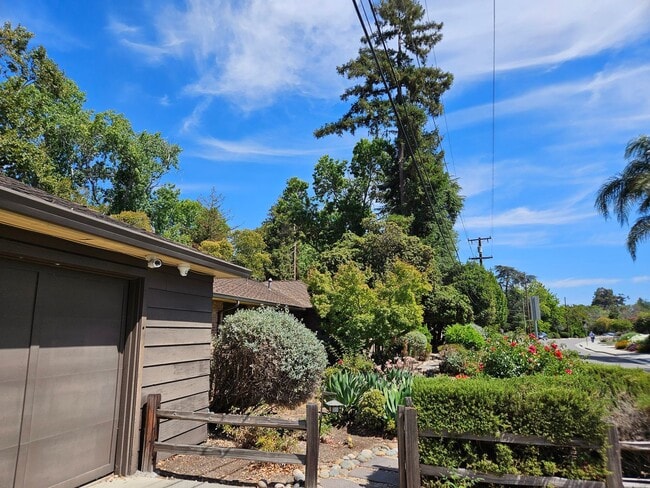 Photo - Stunning 5 Bed 3 Bath Naglee Park Home Wit...