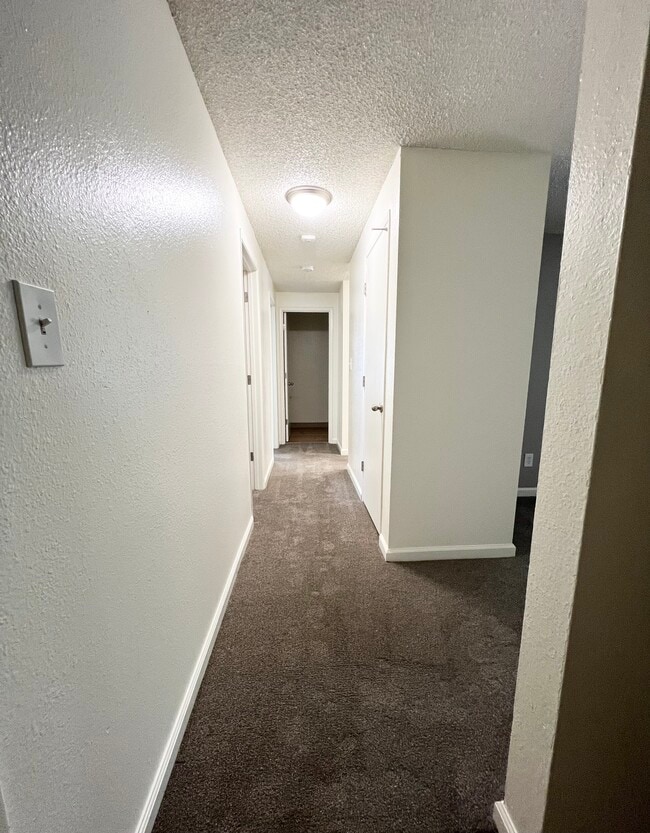 2x1 Large-Hall