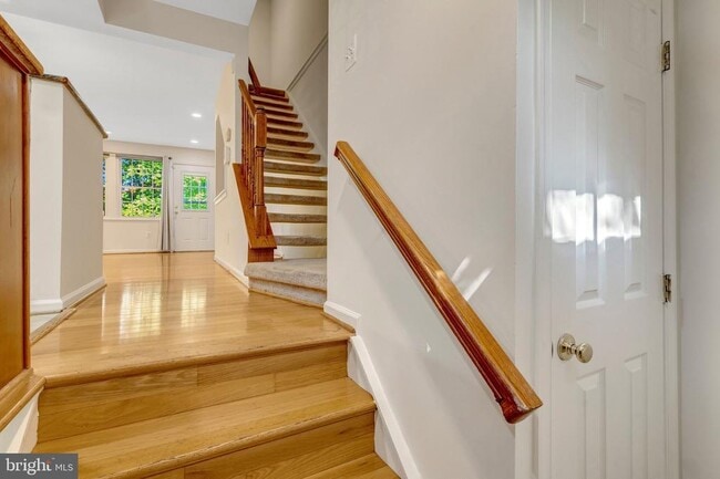 6586 Skylemar Trail