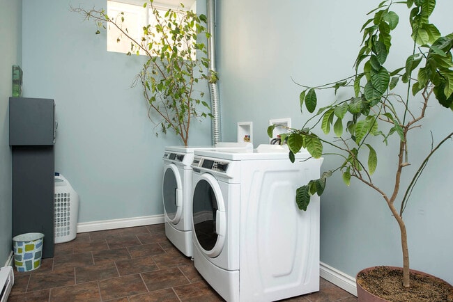 Building Photo - 16 Edmonton Apartment