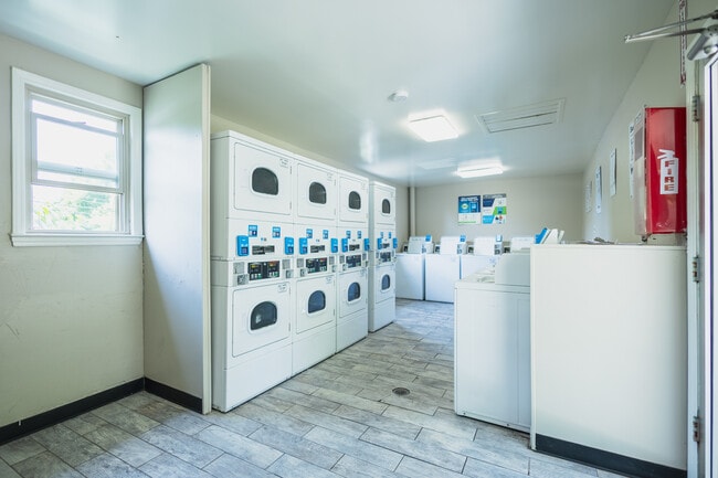 Laundry Facilities - The Paddock Apartments