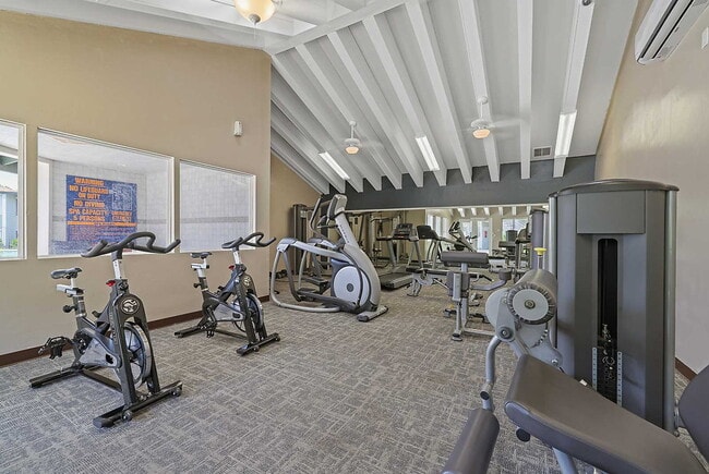 Photo - Shadow Point