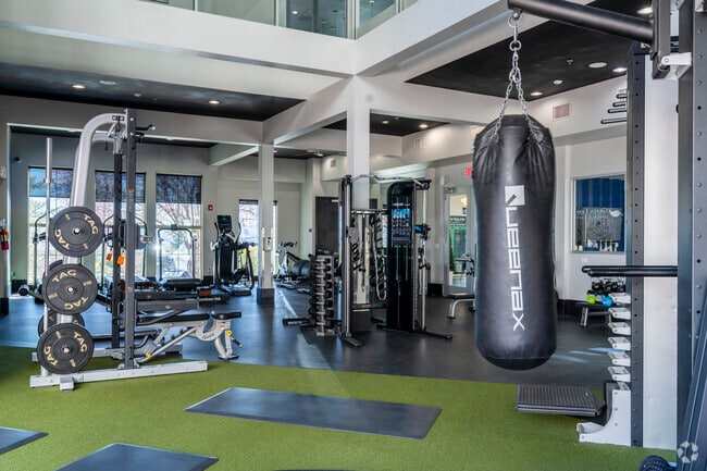 Fitness Center - The Republic