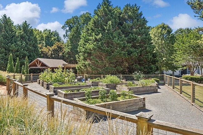 Lakeside Retreat at Peachtree Corners