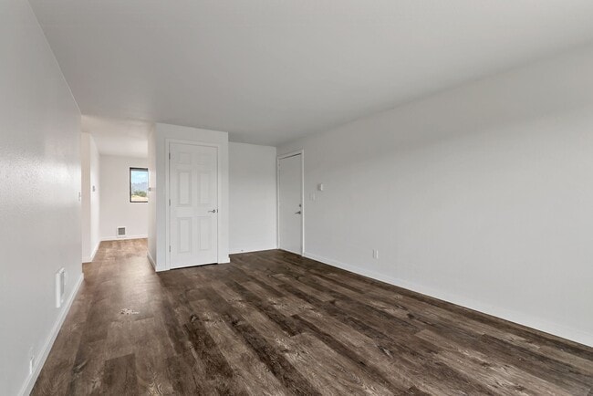 Photo - Rainier Meadow