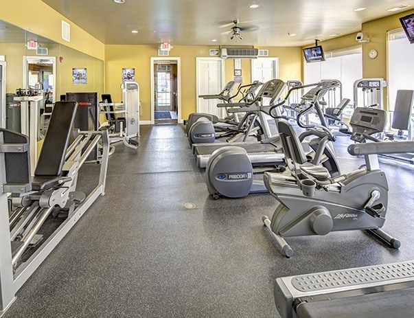 Fitness