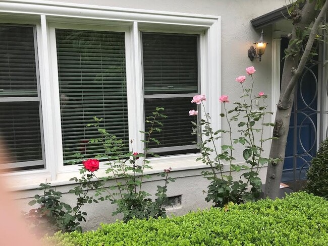 Entry from Garden - 144 S Roxbury Dr Unit Front