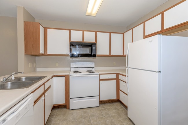 Photo - California Pines