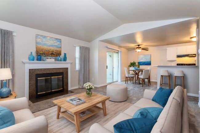 Photo - The Vineyards