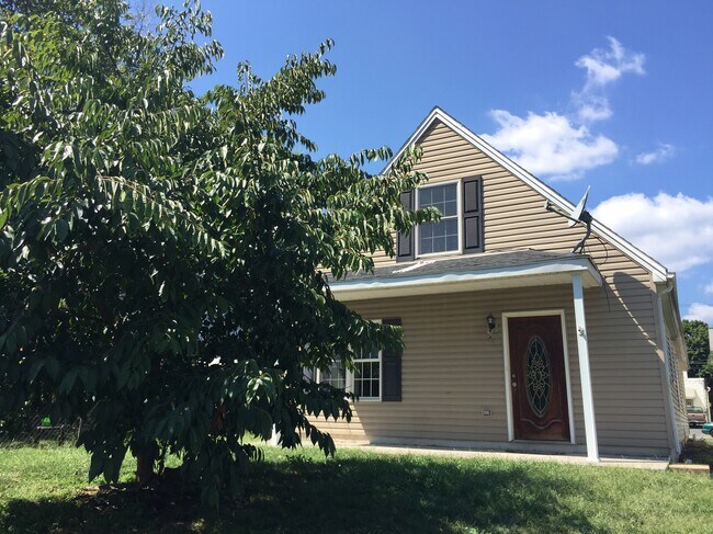 Front (tree was removed) - 226 Herman Ave House