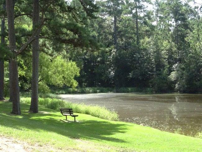 Great Picnic Area