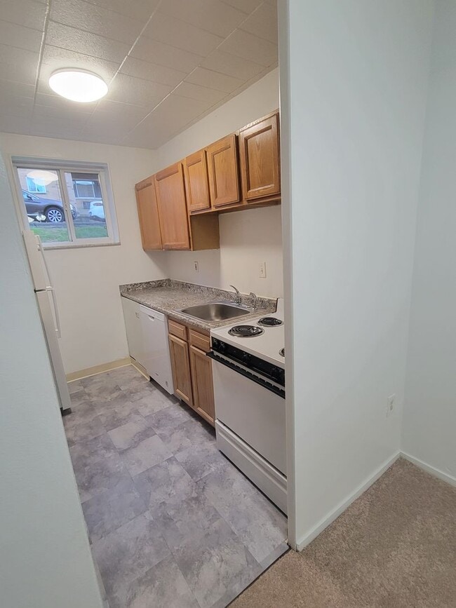 Photo - Carol Shamrock Apartments