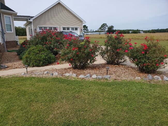 Photo - You have to see this beauty!