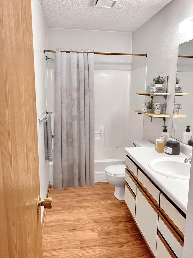 Photo - Delaware Woods