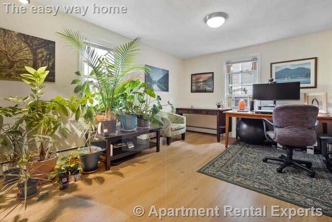 55 Waterhouse St