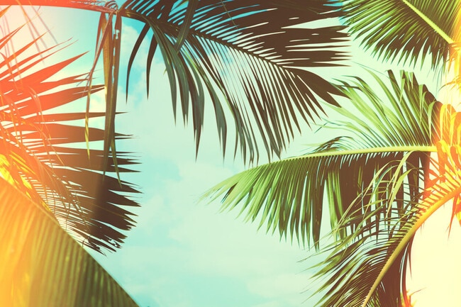 Photo - River Oak at Fernwood Forest