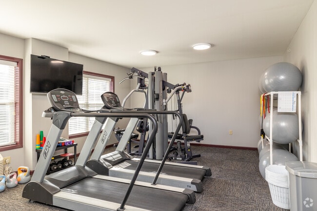 Gimnasio